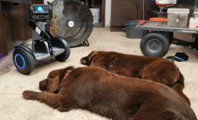 ���T߀���ԄӸ������� �@���ƄәC�����ں���Ȧ�۟o��