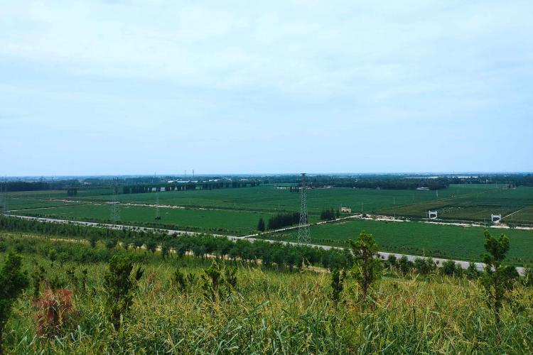 ����Դ��׌100�f���}�A��׃��G��