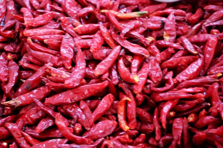 �ꌚ���u�����ؚ���ɆT���a�I朴����������؛һ����Ҫ