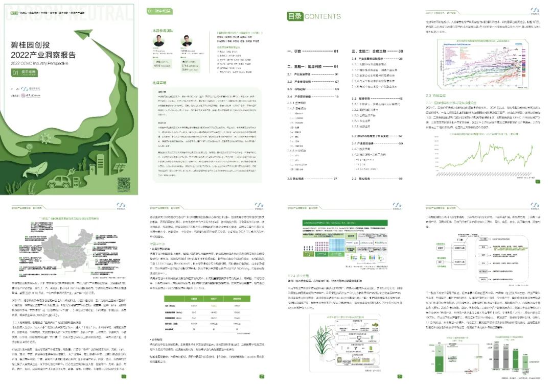 ���� һ��Ͷ�Y�F��ڿ�ʲô