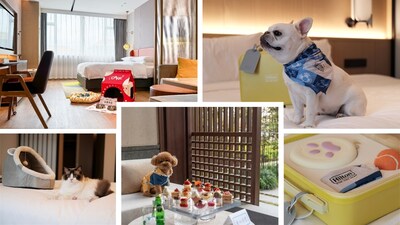 ϣ���D���F(li��n)�ӵεΌ�����У������y�� 