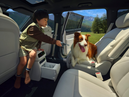 20�f(w��n)��(j��)��ͥ���г�ֵ�x��2026��|�L(f��ng)����e��008ԏጸ��ԃr(ji��)��