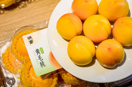 �V�|ʡ2025�����M(f��i)�ͷ��Єӆ��ӣ��A���f�ҡ����l(xi��ng)�Єӡ�Ʒ����ʽ�l(f��)��