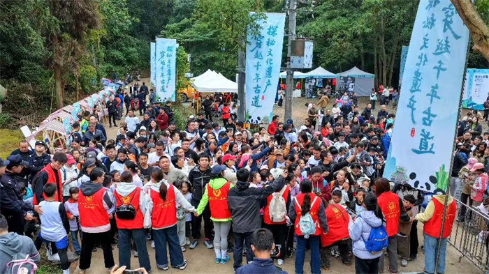 2025 �������Ļ��z�a�����l���xʽ��ϵ�����}�����ʽ����