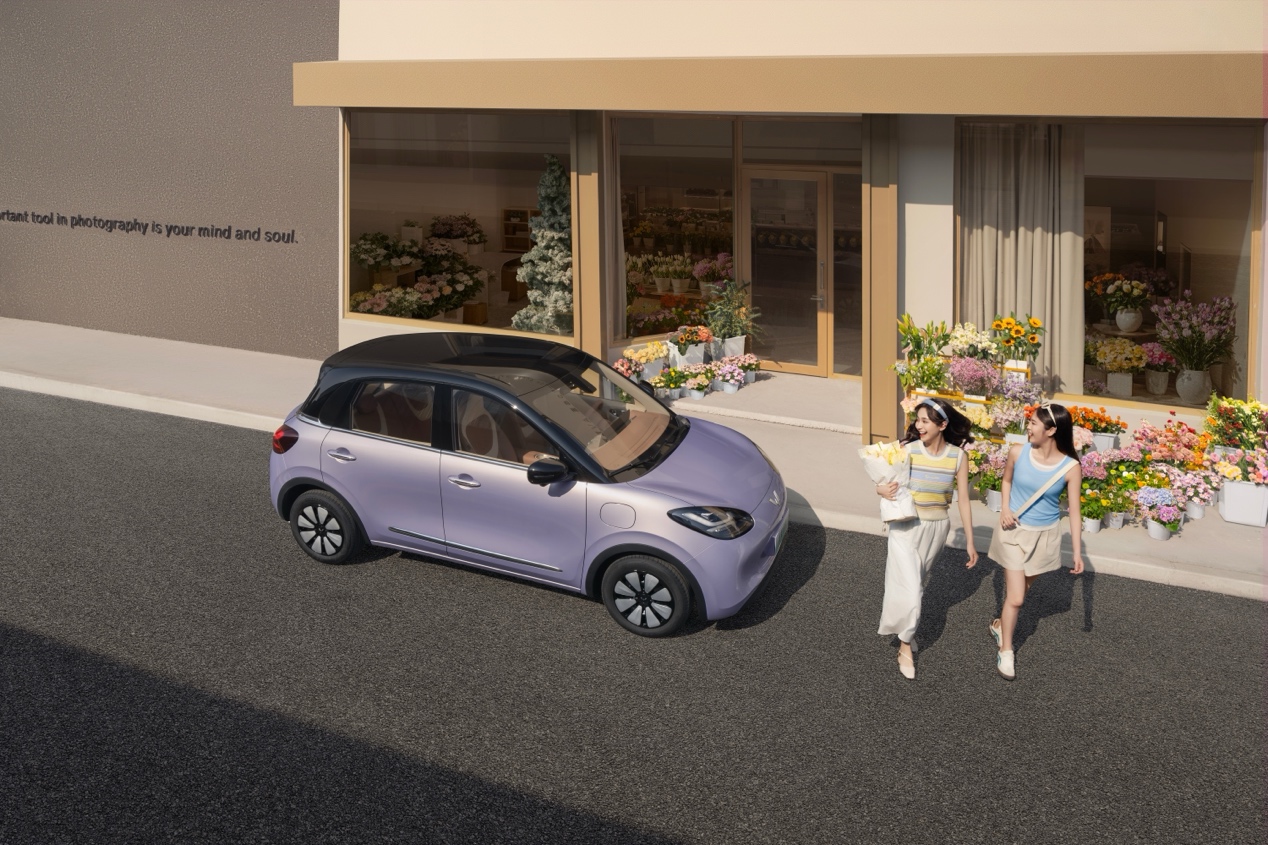 �_������2025ȫ����N213367�v�����Ñ��ṩ�_���������x��