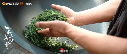 �ġ��c�Y�������L�ǡ� ���� �g��Ӱҕ��������ǡ����ܲ��Ļ�Ӱҕ���_