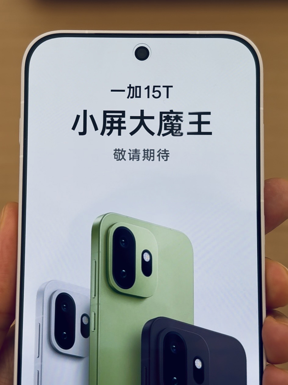 һ��15T���֣���ɫ�ȼ����塰���¹⡱��С����Ş�������L��