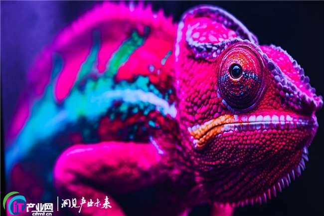 ��ȫ����B֮�������a�I�ݡ��^�� ��������ӡ�^���뢮����M�Ј��D��